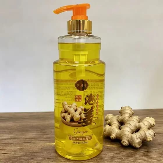 Shampoo de gengibre velho shampoo de gengibre shampoo Anti-caspa controle de óleo shampoo barbearia uso shampoo de alta
