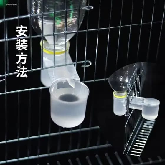 Guia de água potável para pássaros, papagaio de estimação, Myna, água potável automática, acredite, pombo, água potável