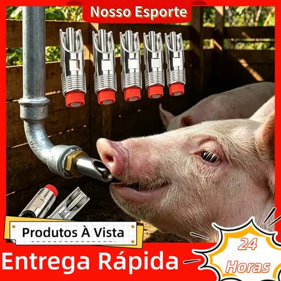 Kit 10/5 Bebedouro Bico Chupeta Bebedouro Porco Automático Terminação Inox