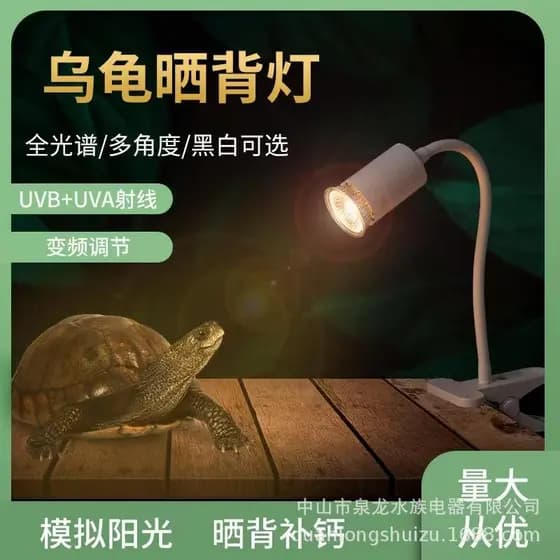 Tanque de iluminação de luz solar recarregável com luz de fundo de tartaruga, conjunto de segurança de suplemento de cál