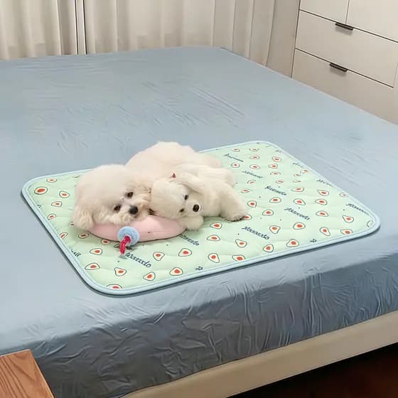 Verão Pet almofada de gelo cão legal esteira almofada gato gelo seda fresco ninho resfriamento respirável Anti-deslizame