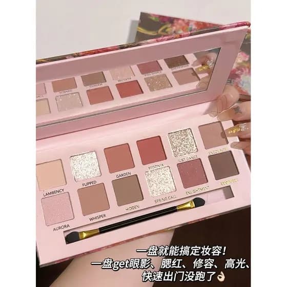Paleta de sombras para iniciantes Uma paleta multiuso fosco perolado fino piscando cor terra à prova d'água sem manchas