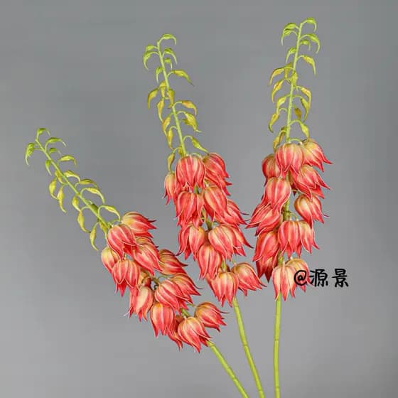 Material de flor artificial PU Ramo longo Lírio do Vale Flor artificial Decoração de casa Arte Floral Phoenix Tail Yucca