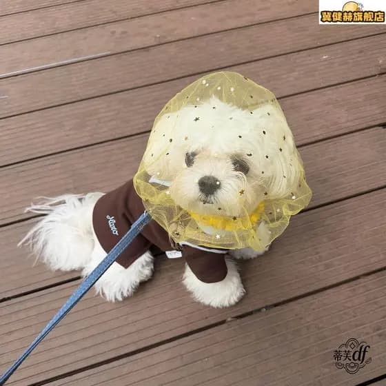 Ferramenta útil para passear com cães!Cão chapelaria malha gaze anti-comer máscara de comida anti-acidental pequenos cãe