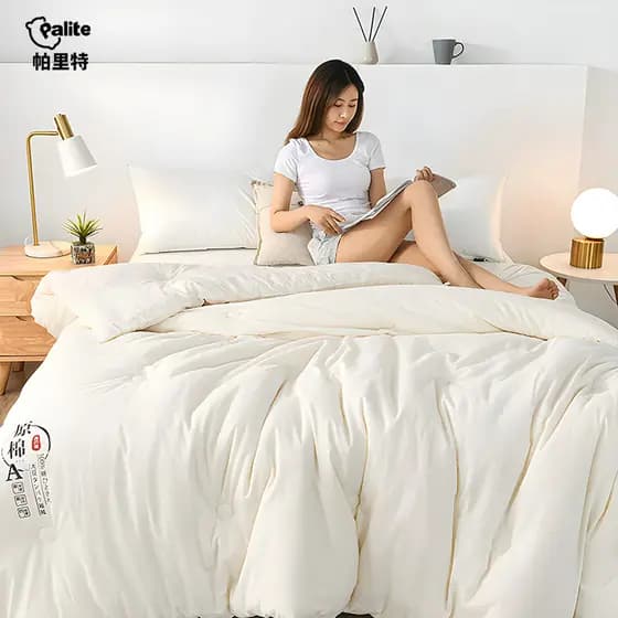 Novo estilo de malha algodão fibra soja colcha algodão cru soja colcha primavera outono colcha inverno colcha núcleo cor