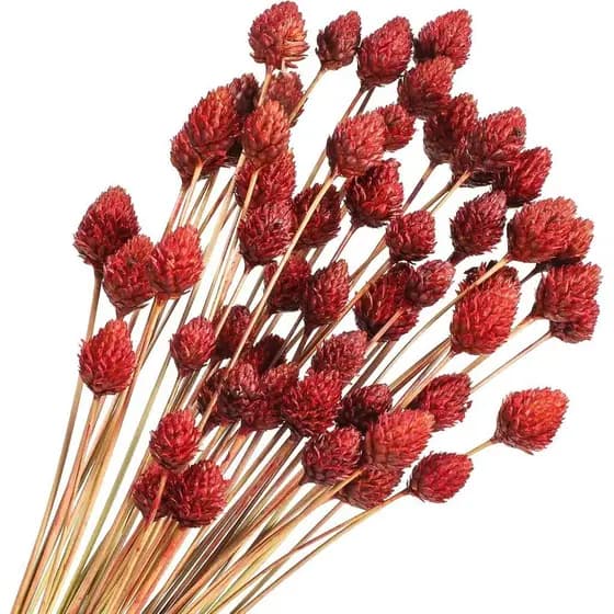 Rtteri 60 Peças de Flores Secas Vermelhas com Hastes para Arranjos em Vasos e Buquês, Flores em Mini Bolas de 16" Natura
