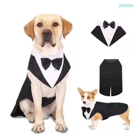 POTATO1 Fantasia De Casamento Para Cachorro , Com Gravata Borboleta , Duas Peças , Smoking Camisa Formal Preta/Listras
