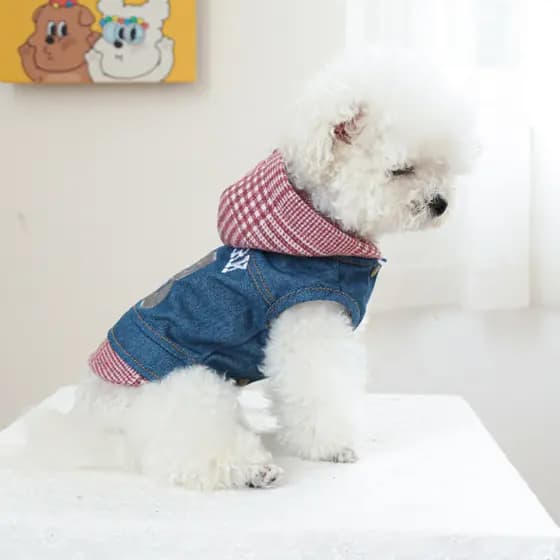 Mais Novo Casaco de Denim com Capuz para Cães Filhotes, Jaqueta de Moda com Estampa de Letras, Roupas para Animais de Es