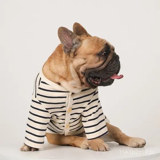 Camisa de base listrada para animais de estimação, roupa de baixo quente para outono e inverno, cardigã de algodão puro