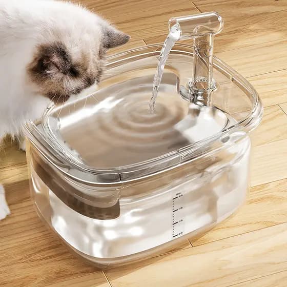 Dispensador de água para gatos, fluxo de circulação automática, alimentador de água para gatos, desconectado, gatinho, á