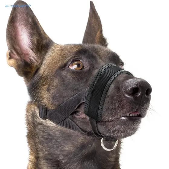 BLUEVELVETSP Focinho Para Cachorro Seguro E Macio Cães Pequenos Grandes , Anti Latidos , Ajustável , Suave , Máscara Buc