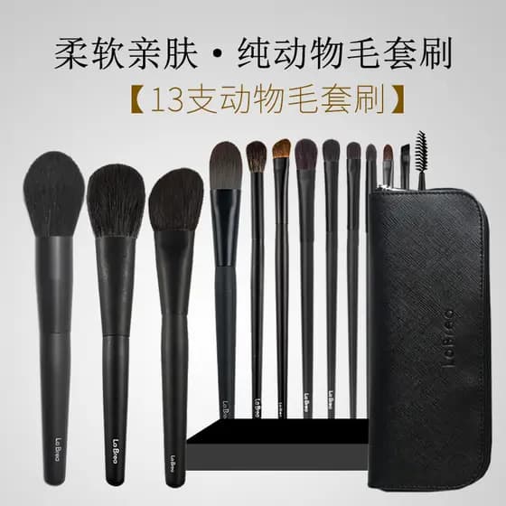 Cangzhou Labrea 13 Conjunto de Cabelo Animal Pincel de Maquiagem Profissional Conjunto Completo de Cabelo de Esquilo Lã