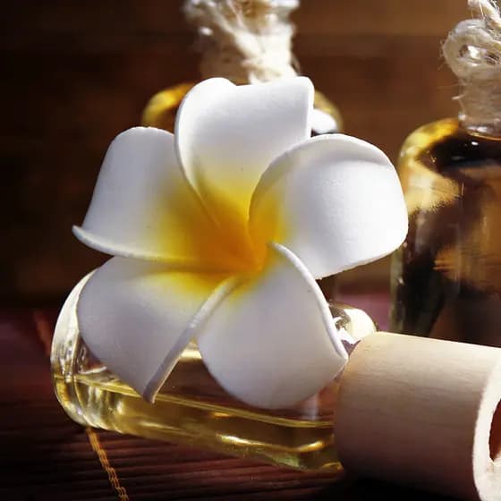 Salão de beleza clube de saúde clube dedicado flor decorativa branco Frangipani tigela de óleo essencial prato de óleo e