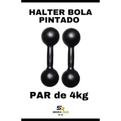 Par Halter Bola 04 KG Pintado Fitness Treino Academia Casa GYM