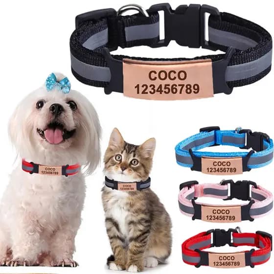 Coleira Personalizada Para Animais De Estimação , Gravura Gratuita , Segurança , Filhote De Cachorro , Gato , Colar De N