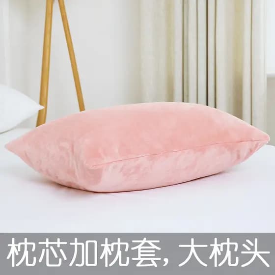 Grande travesseiro núcleo mais fronha flanela Coral único doméstico Sleep Aid estudante dormitório cama confortável meni