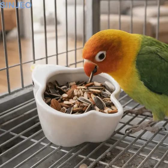 Desce Tigela De Comida Para Hamster , Cerâmica Anti-Queda Em Forma De Pássaro Água Suave Papagaio De Grande Capacidade