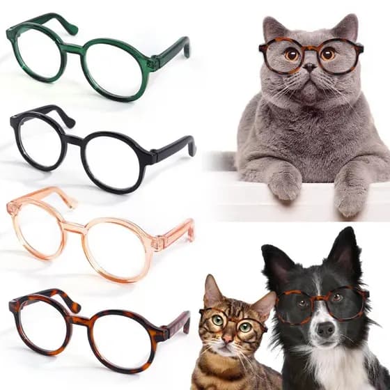 Animal De Estimação Bonito Óculos De Plástico Transparente Gato Cão Teddy Personalidade Engraçado Pet Vestir-Se Produtos
