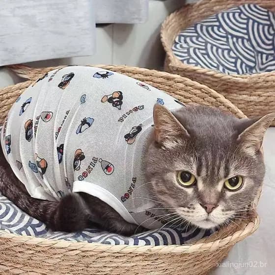 Roupa para gato de estimação Penguin, colete fino e respirável para o verão, anti-desprendimento, à prova de sol e à pro