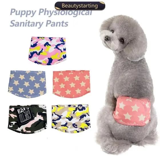 BEAUTYSTARTING 1Pc Faixa De Barriga De Cachorro De Estimação À Prova D'água Fralda Fisiológica Reutilizável Calça Macho