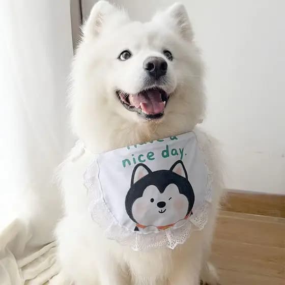Babador Redondo Fofo Para Cachorro 2025 , De Desenho Animado , Saliva , Médio E Pequeno , Golden Retriever , Samoyed , H
