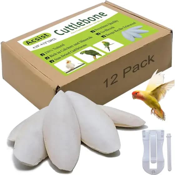 Osso de Choco para Pássaros de 4,3"-4,7", Osso de Choco Natural para Periquitos, Osso de Choco para Pássaros com Bico Af