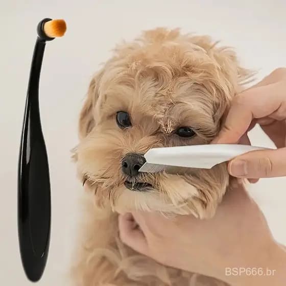 Conjunto de Limpeza de Olhos para Animais de Estimação (2 peças) - Escova para Remover Manchas de Lágrimas + Pente de De