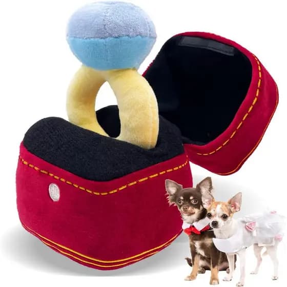Mewcho dia dos namorados brinquedo do cão caixa de anel de pelúcia cão casamento noivado amor anel caixa diamante brinqu