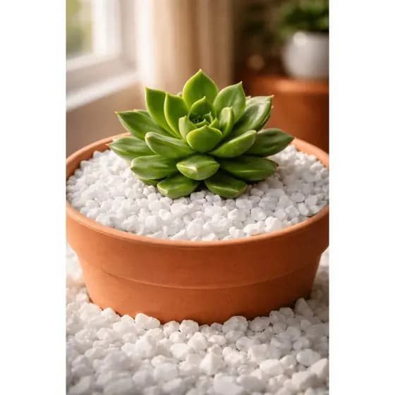 Pedras Decorativas 7kg
