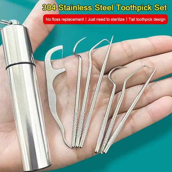 【Aço Inoxidável 304】6PCS Palito de Dente Portátil/Linha Dental/Kit de Limpeza Bucal