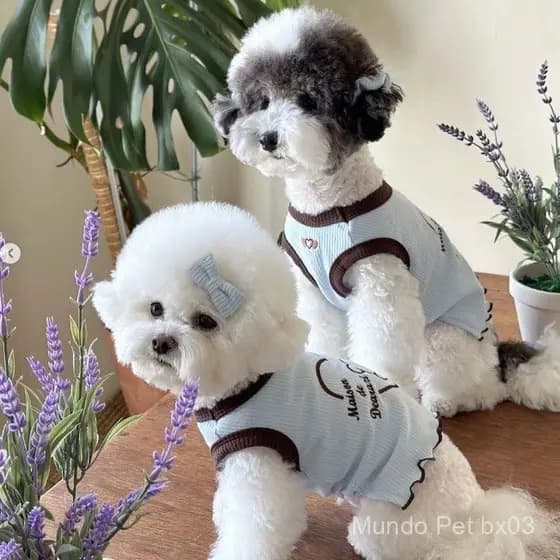 Roupa para Animais de Estimação 2026, Estilo Primavera, Colete Bordado com Urso, Panda e Gato, Roupas para Cães