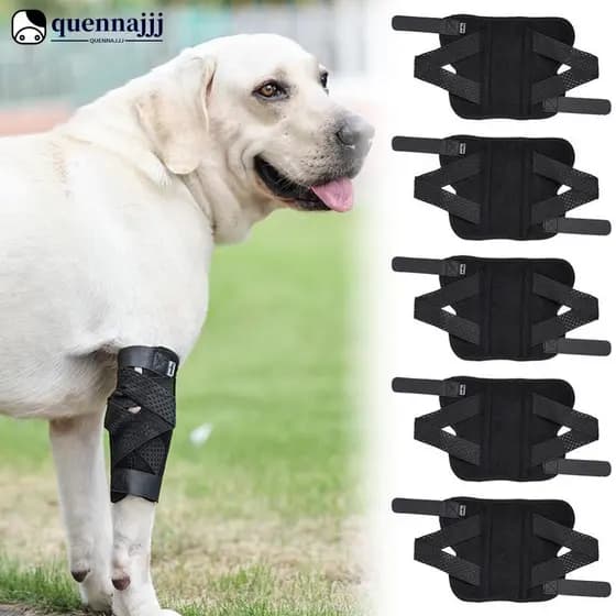 QUENNA Pet Joelheiras Para Recuperação De Lesões Nas Articulações Pernas Protetor Cão Protege Bandagem Artrite Capa Cães