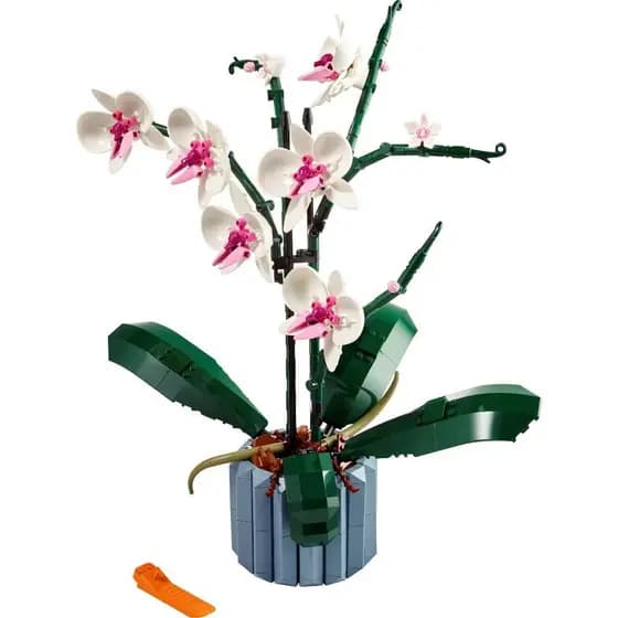 608 Peças | Coleção Botânica: Blocos de Montar Educacionais de Orquídeas Compatíveis com Lego, Presentes para Crianç
