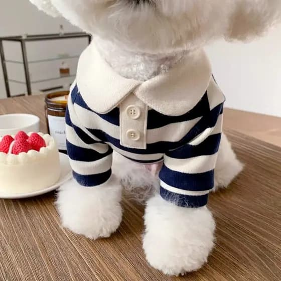 Black Striped Dog Clothes Pet Schnauzer Polo Shirt Yorkshire Summer Dress Puppy Leggings Soft Pullover Pet Supplies