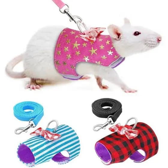 Trela pequena trela para animais de estimação Hamster trela colete trela ao ar livre Anti-perdido trela