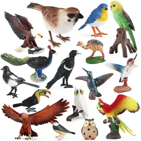 Aves da floresta, animais selvagens, papagaios, pelicanos, aves de bico gigante, papagaios de bico longo, pequenas estát