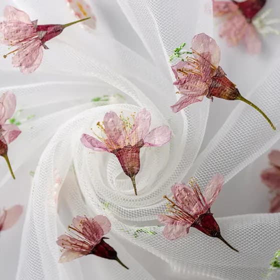 Flor de cerejeira imprensa lateral flor seca em relevo pressionado flor folhas planta espécime marcador pétala maquiagem
