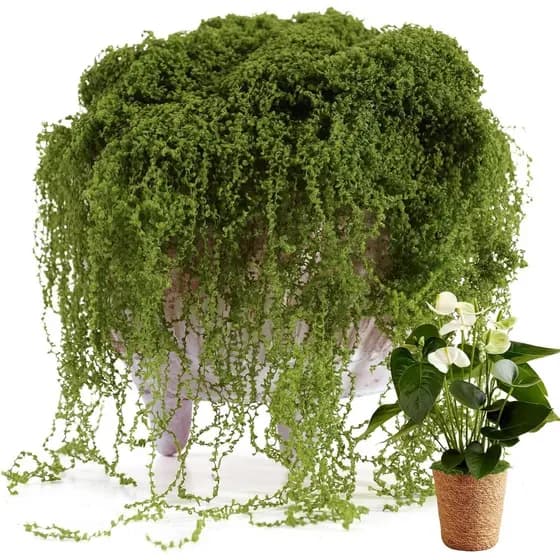 Musgo Falso USMOLA para Plantas em Vasos Internos, 7OZ de Musgo Verde para Artesanato - Decoração de Musgo Falso Realist