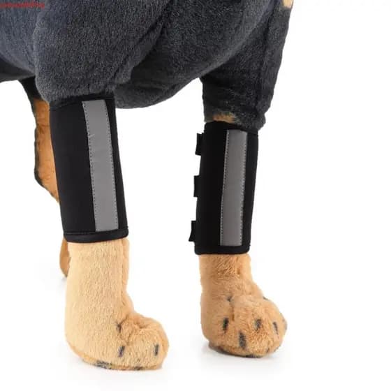 JUNYUE Cinta Para Perna Frontal De Cachorro Respirável Acessórios Cães Material De Mergulho Soft Almofada De Cotovelo À