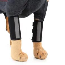 JUNYUE Cinta Para Perna Frontal De Cachorro Respirável Acessórios Cães Material De Mergulho Soft Almofada De Cotovelo À