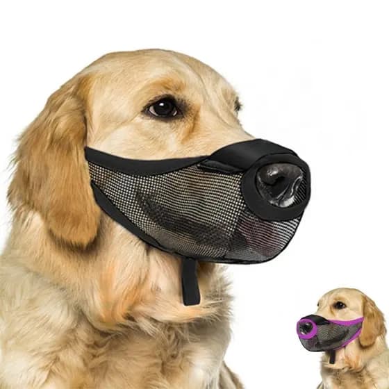 Protetores Confortáveis para o Focinho, Malha Facial, Ventilação, Boca QSYY