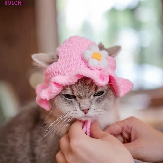 Chapéu De Gato BOLONI Inverno 2023 Crochê Elástico De Rã Quente