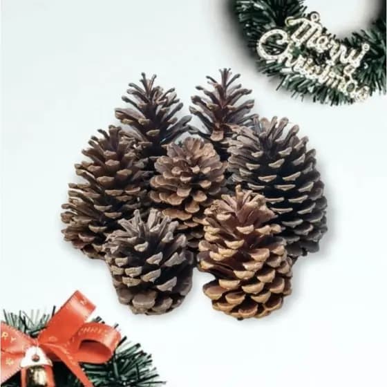 KIT 10 PINHAS NATURAIS ARTESANATO NATAL DECORAÇÃO