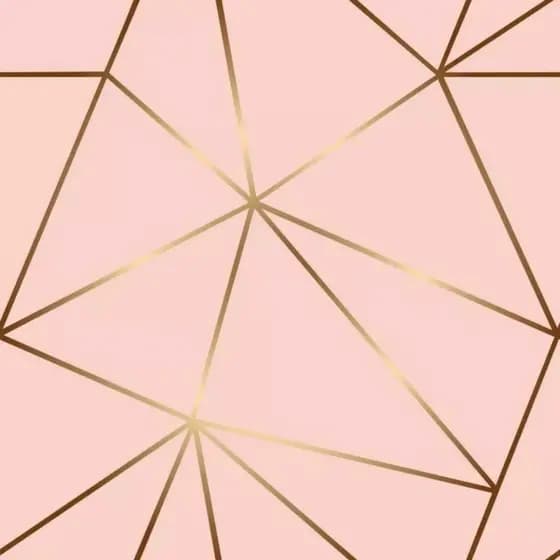 Papel de Parede Zara Rosa 10 METROS x 45CM Autocolante