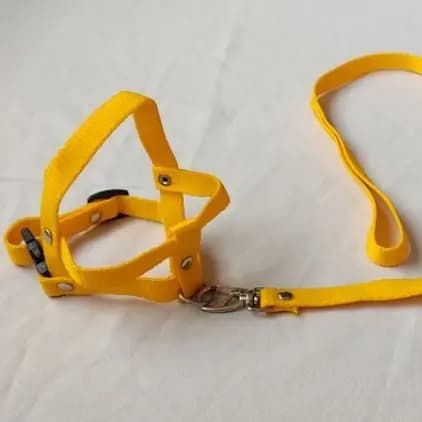 Coleira Para Pinscher // Peitorais P/ Coleira Para Cachorro Pequeno Porte