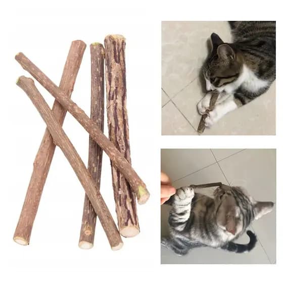 5 Pçs Limpeza Dentes Gato Mastigar Varas Puro Natural Catnip Lanches Tratar Brinquedo Pet Pasta De Dente Vara