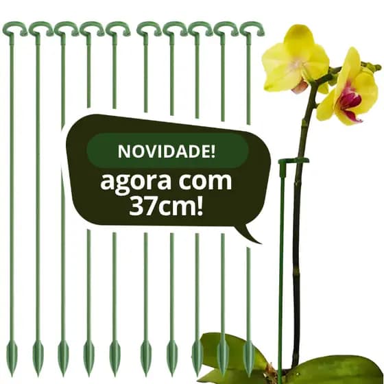 Hastes Para Sustentar Apoio Plantas Orquideas Margaridas