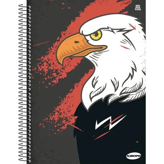 CADERNO ESPIRAL CAPA DURA KBOM 200FLS. - 10 MATÉRIAS MASCULINO - ANIMATIVA - ENVIO SORTIDO