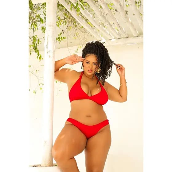 Biquini Plus Size Asa Delta Com Bojo Cores Do Verão