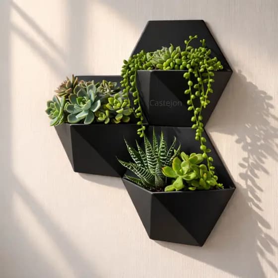 Vasos de Parede Decorativos Moderno e Minimalista Para Suculentas Planta
